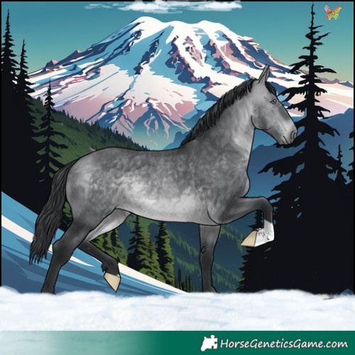 Horse Color:Brown Chinchilla 
