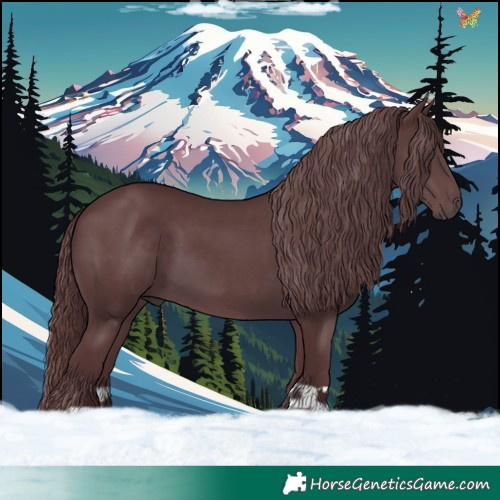 Horse Color:Chocolate Black Chinchilla 