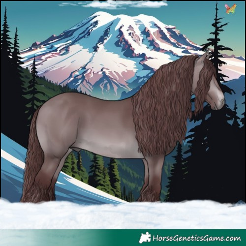 Horse Color:Chocolate Brown Chinchilla 