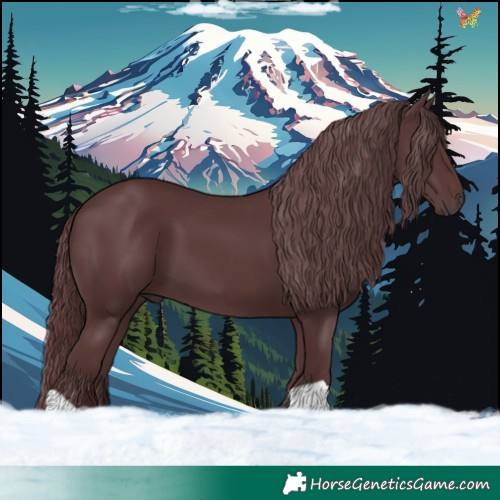 Horse Color:Chocolate Black Chinchilla 