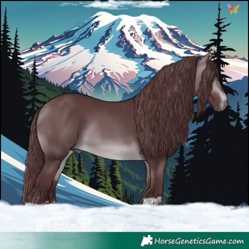 Horse Color:Chocolate Brown Chinchilla 