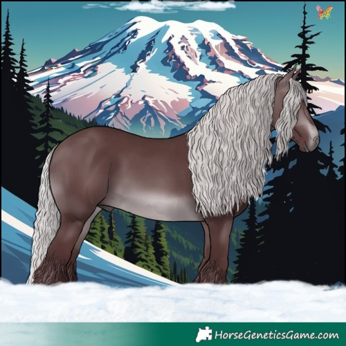 Horse Color:Chocolate Silver Brown Chinchilla 