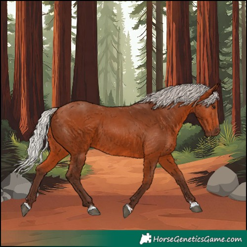 Horse Color:Silver Bay