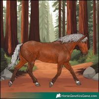 Horse Color:Silver Bay 