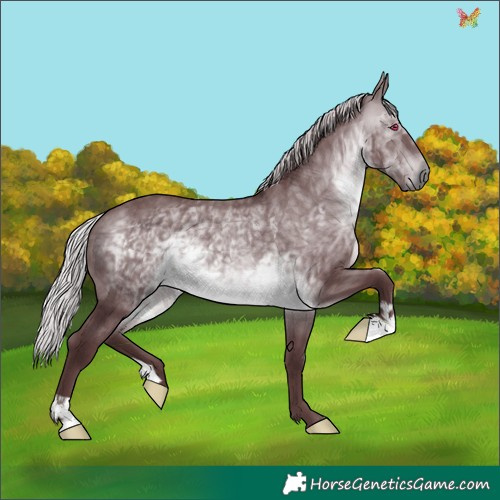 Horse Color:Chocolate Silver Brown Chinchilla 