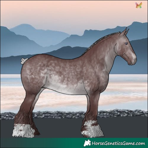 Horse Color:Chocolate Silver Brown Chinchilla 