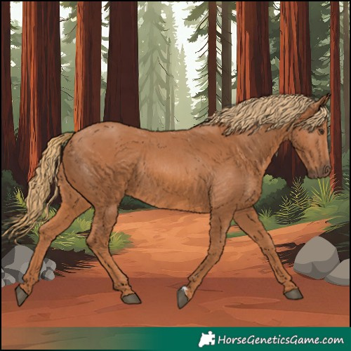 Horse Color:Chestnut Rabicano 