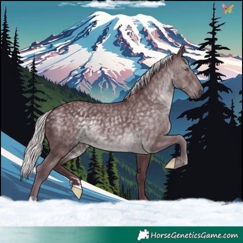 Horse Color:Chocolate Silver Black Chinchilla 