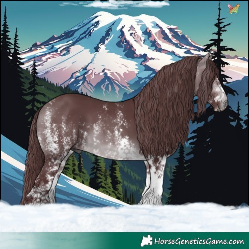 Horse Color:White Spotted Chocolate Brown Chinchilla 