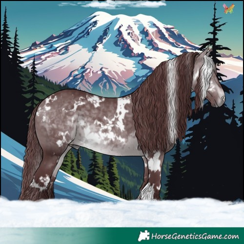 Horse Color:White Spotted Chocolate Bay Chinchilla 