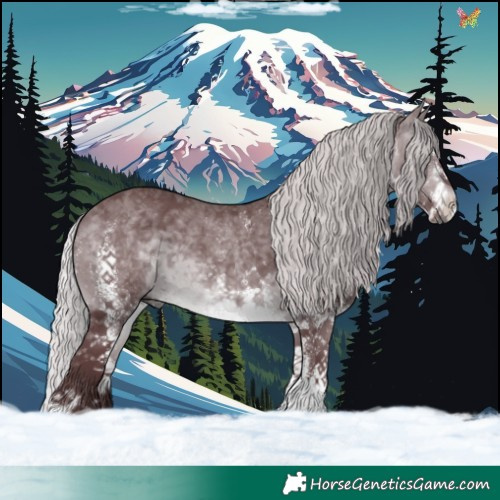 Horse Color:White Spotted Chocolate Silver Brown Chinchilla 