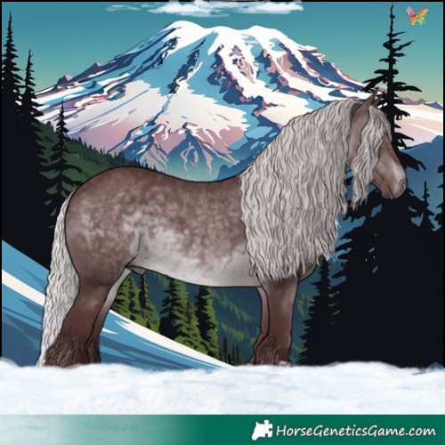 Horse Color:Chocolate Silver Brown Chinchilla 