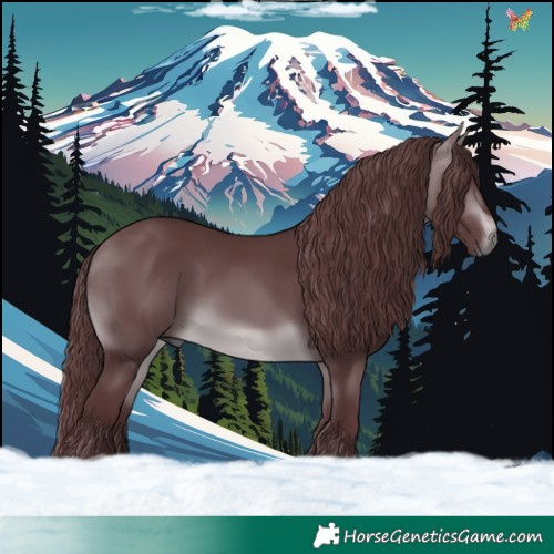 Horse Color:Chocolate Brown Chinchilla 