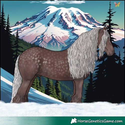 Horse Color:Chocolate Silver Black Chinchilla 