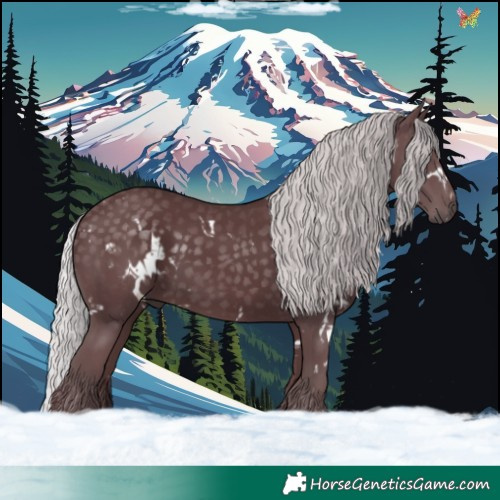 Horse Color:White Spotted Chocolate Silver Black Chinchilla 