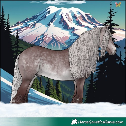 Horse Color:Chocolate Silver Brown Chinchilla 