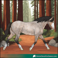 Horse Color:Bay Roan Dun Rabicano 