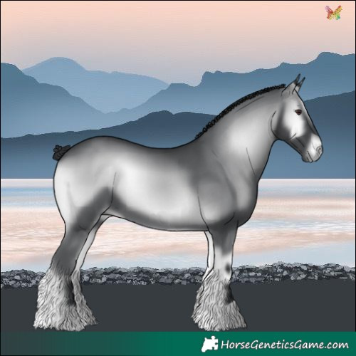 Horse Color:Blue Onyx Chinchilla 