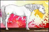 Horse Color:Watercolor Buckskin Roan Blanket 