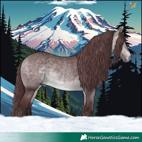 Horse Color:Chocolate Bay Chinchilla 