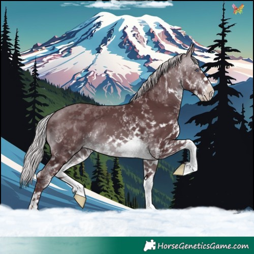Horse Color:White Spotted Chocolate Silver Brown Chinchilla 