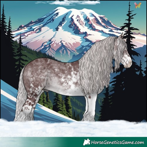 Horse Color:White Spotted Chocolate Silver Brown Chinchilla 
