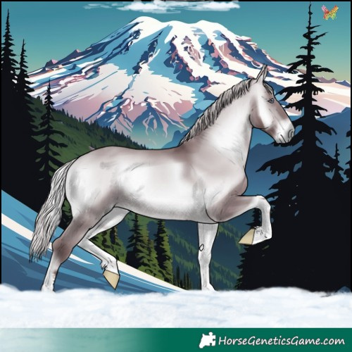 Horse Color:Chocolate Silver Bay Chinchilla Onyx 