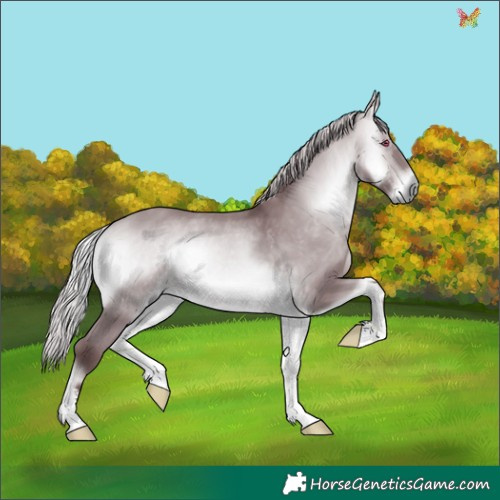 Horse Color:Chocolate Silver Bay Chinchilla Onyx 