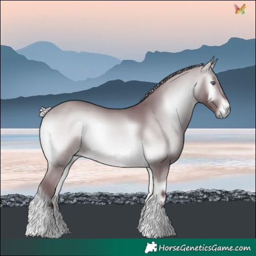 Horse Color:Chocolate Silver Bay Chinchilla Onyx 