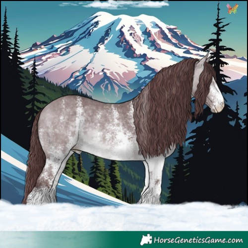 Horse Color:White Spotted Chocolate Bay Chinchilla 