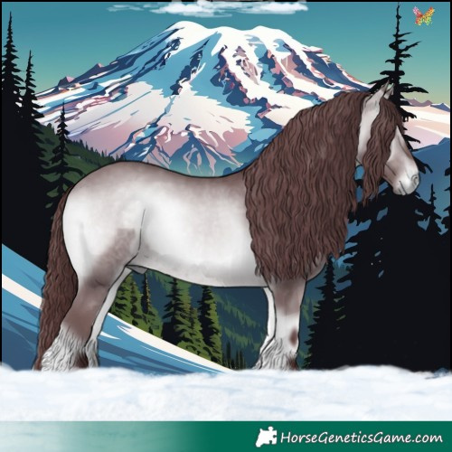 Horse Color:Chocolate Brown Chinchilla Onyx