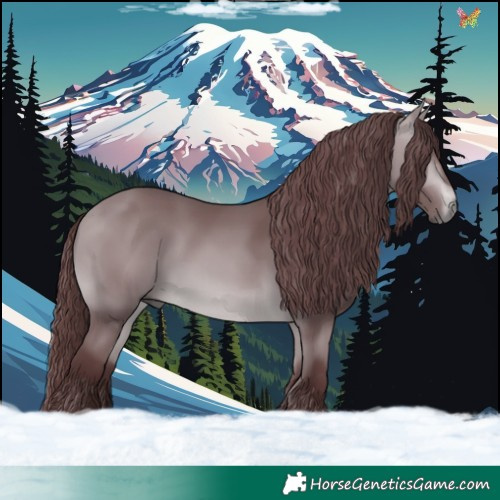 Horse Color:Chocolate Bay Chinchilla 