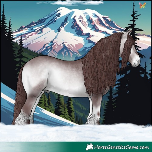 Horse Color:Chocolate Bay Chinchilla Onyx 