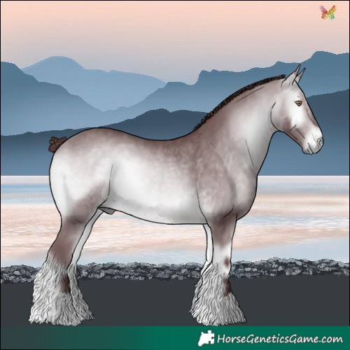 Horse Color:Chocolate Bay Chinchilla Onyx 