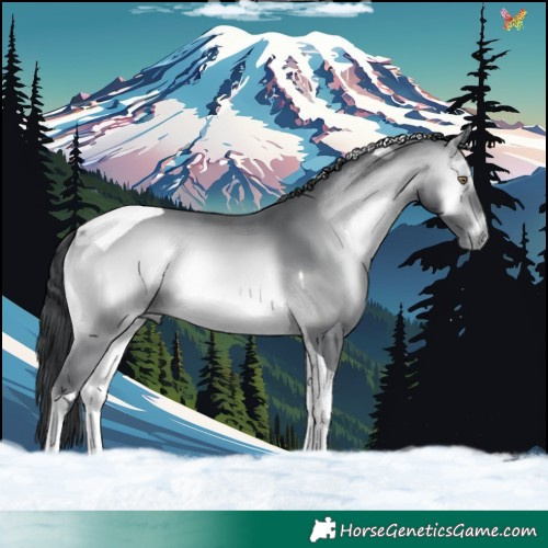 Horse Color:Bay Chinchilla Onyx Tobiano 