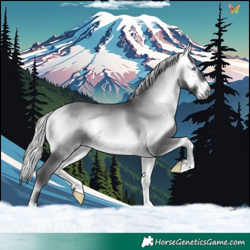 Horse Color:Silver Buckskin Chinchilla Onyx 