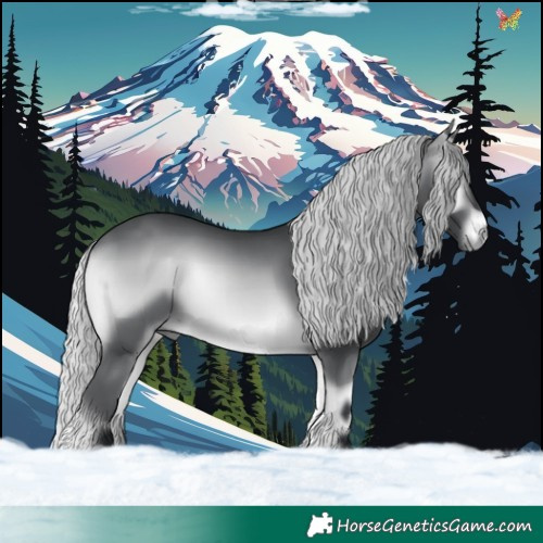 Horse Color:Silver Brown Chinchilla Onyx 