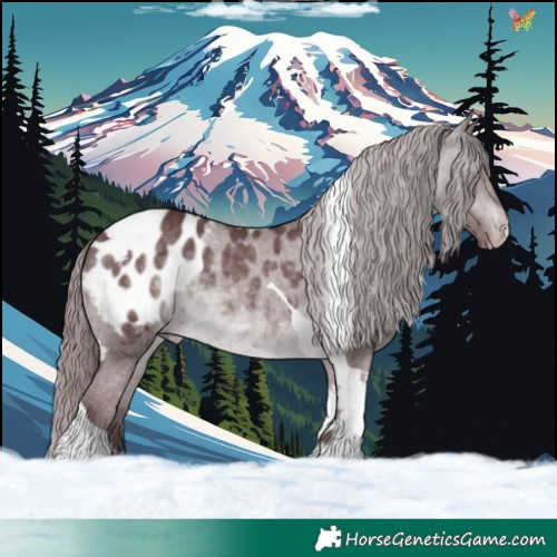 Horse Color:Chocolate Brown Chinchilla Tobiano Appaloosa 