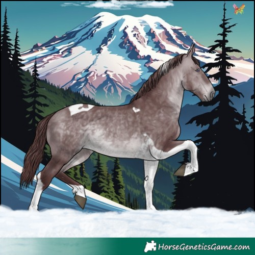 Horse Color:Chocolate Brown Chinchilla Tobiano 