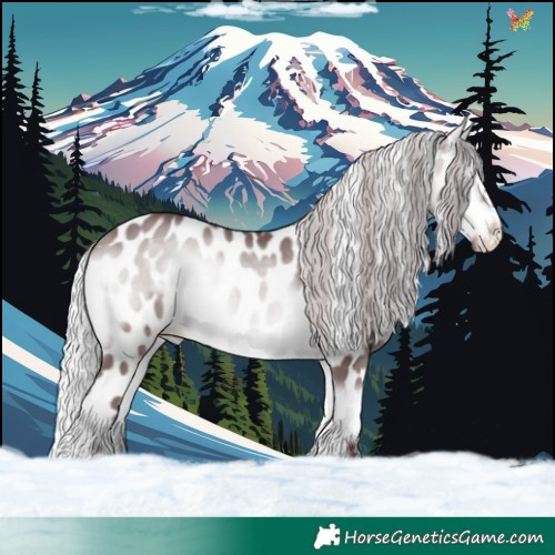 Horse Color:Chocolate Silver Bay Chinchilla Onyx Appaloosa 