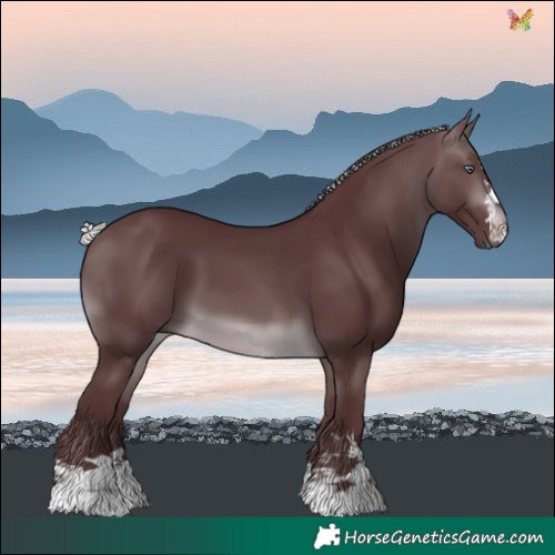 Horse Color:Chocolate Silver Brown Chinchilla 
