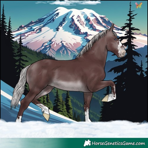 Horse Color:Chocolate Silver Brown Chinchilla 