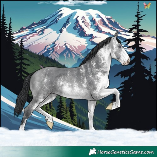 Horse Color:White Spotted Brown Chinchilla 