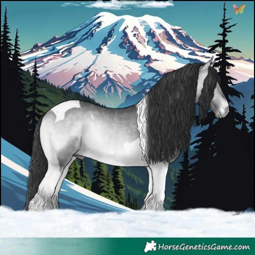 Horse Color:Bay Chinchilla Onyx Tobiano 