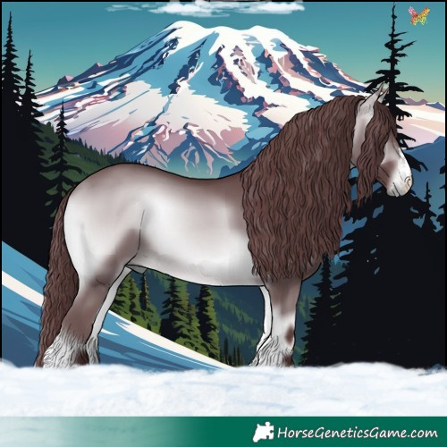 Horse Color:Chocolate Bay Chinchilla Onyx 