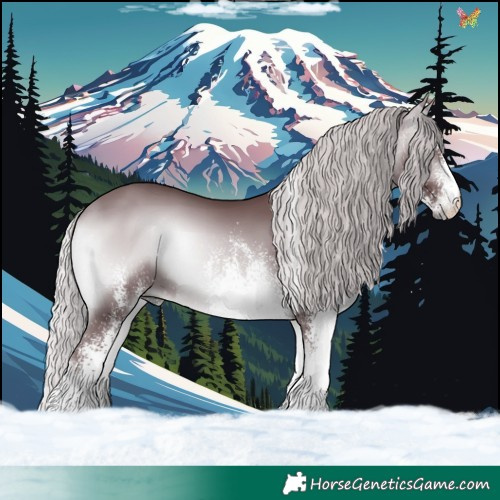 Horse Color:White Spotted Chocolate Silver Bay Chinchilla Onyx 
