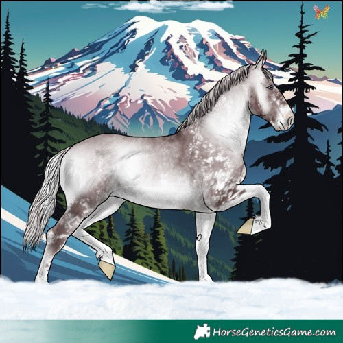 Horse Color:White Spotted Chocolate Silver Brown Chinchilla Onyx 