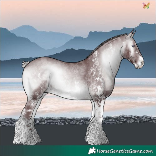 Horse Color:White Spotted Chocolate Silver Brown Chinchilla Onyx 
