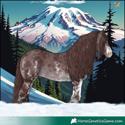 Horse Color:White Spotted Chocolate Brown Chinchilla 