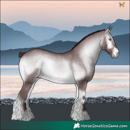 Horse Color:Chocolate Brown Chinchilla Onyx 